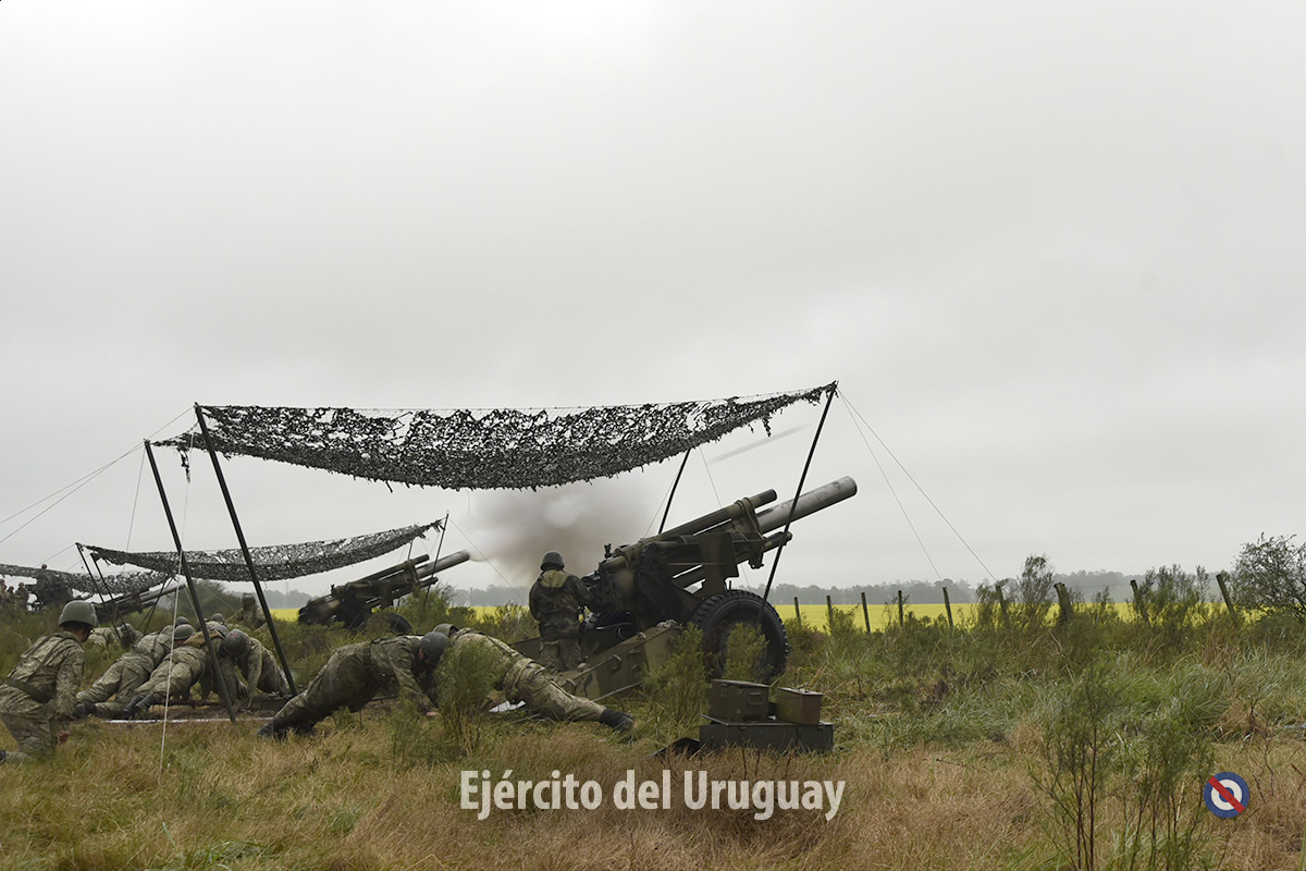 Maniobra-del-Arma-de-Artilleria-2024-37.jpg